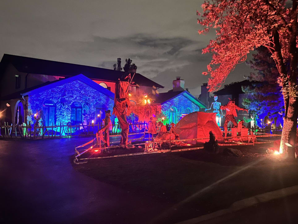 Backwoods of Ridgewood