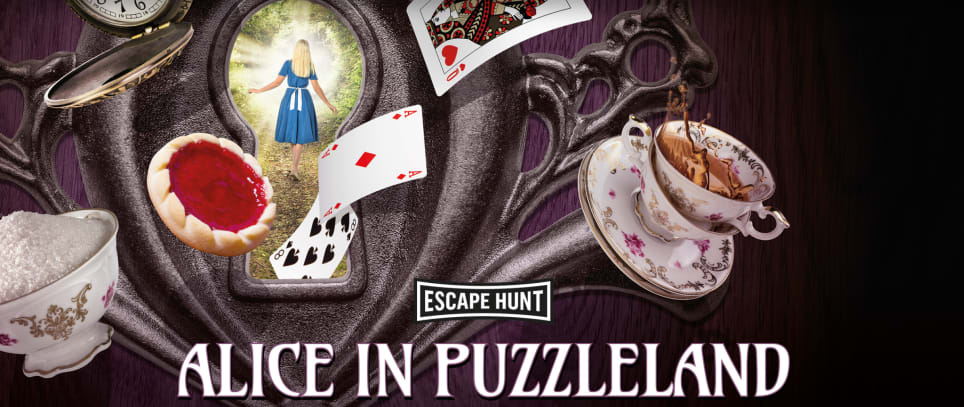 Alice In Puzzleland