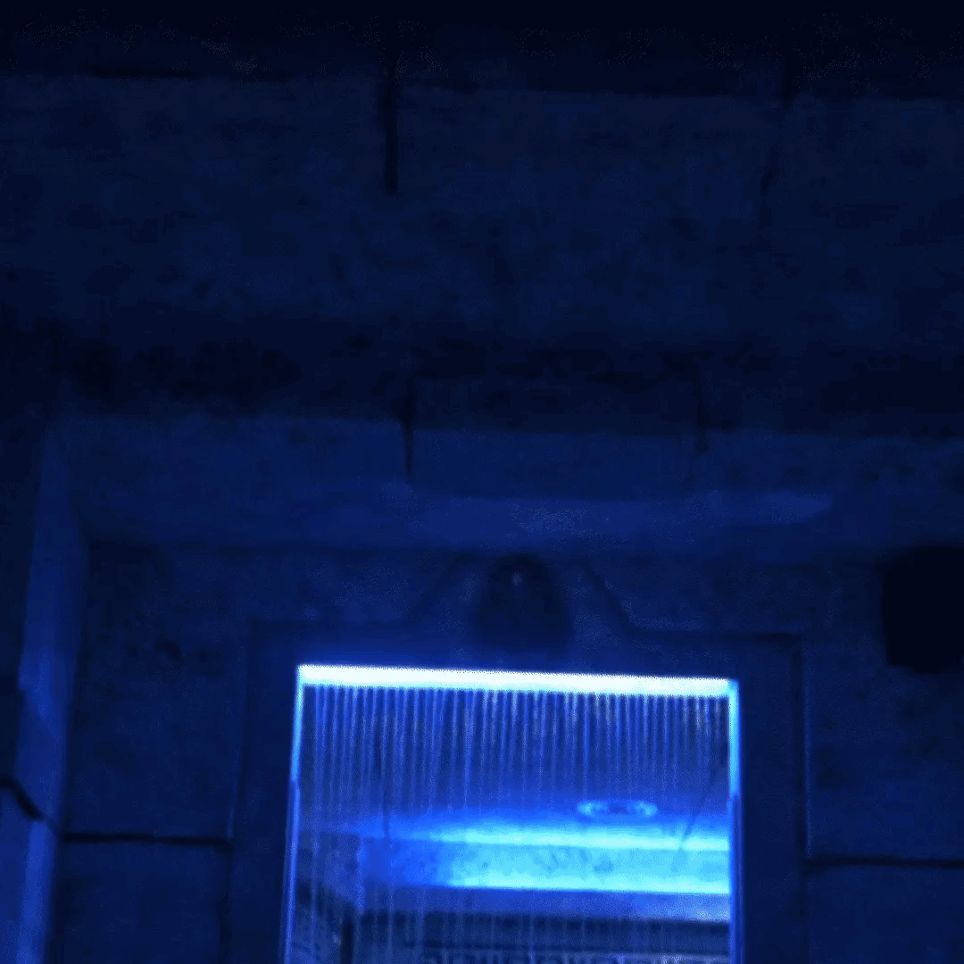 Lost City of Atlantis