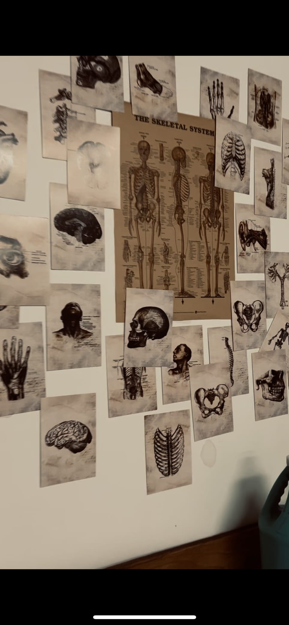 Missing at the Mortuary