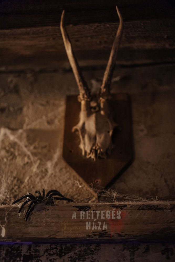 A Rettegés Háza [House of Fear]