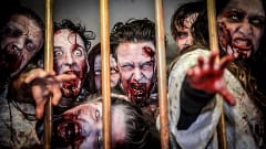 Zombie SWAT Training