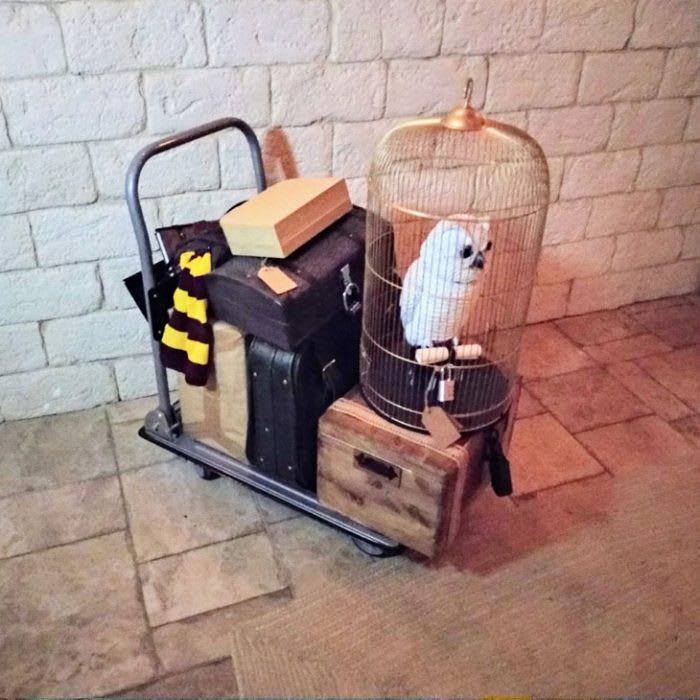 El Equipaje De La Bruja [The Witch’s Luggage]