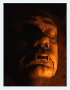 The Vampire Crypt