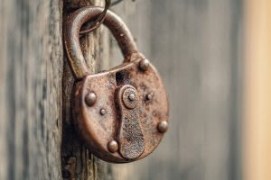 Houdini’s Spirited Escape