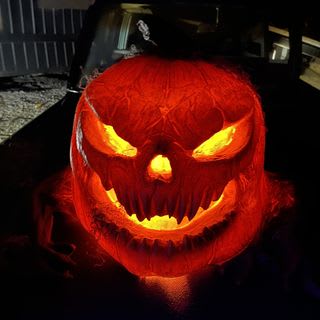 Stitch Factory Farms