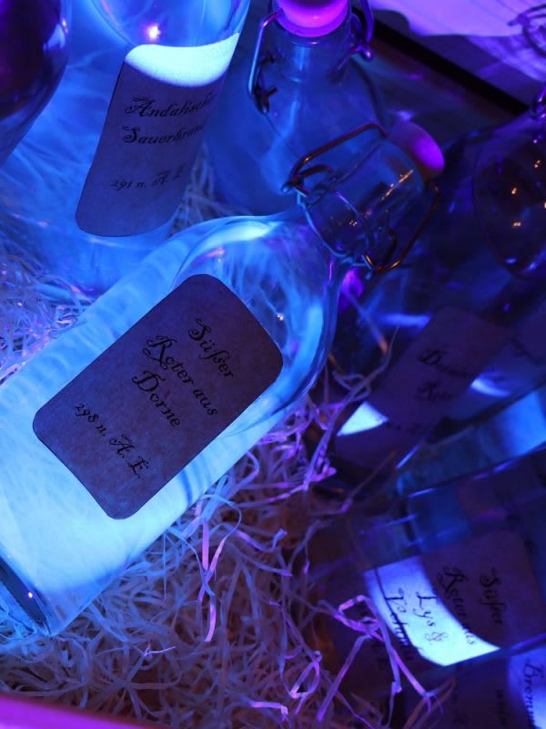 Auf der Suche nach dem Seefeuer