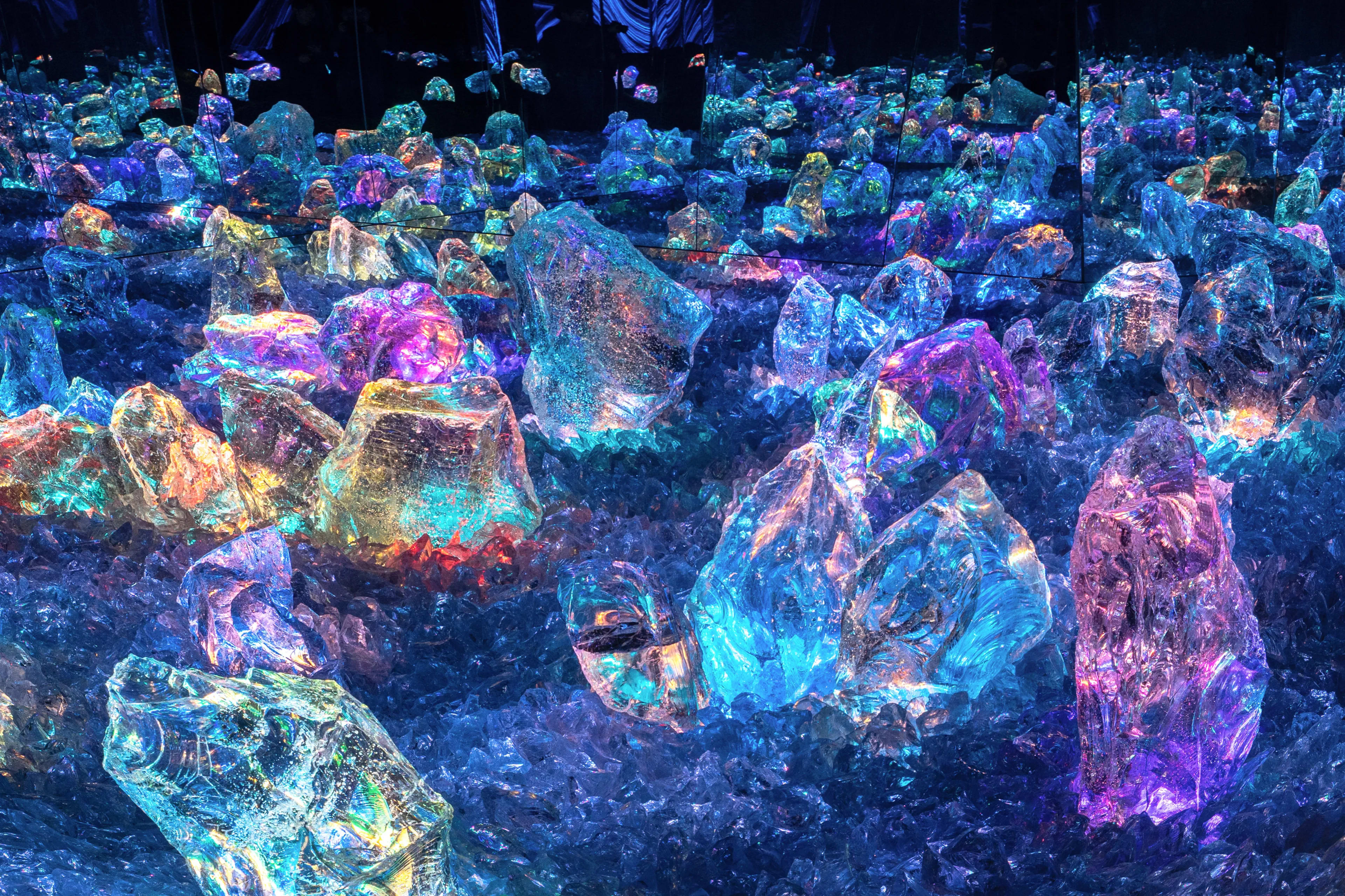 teamLab Biovortex [Immersive Art] Escape Room | teamLab