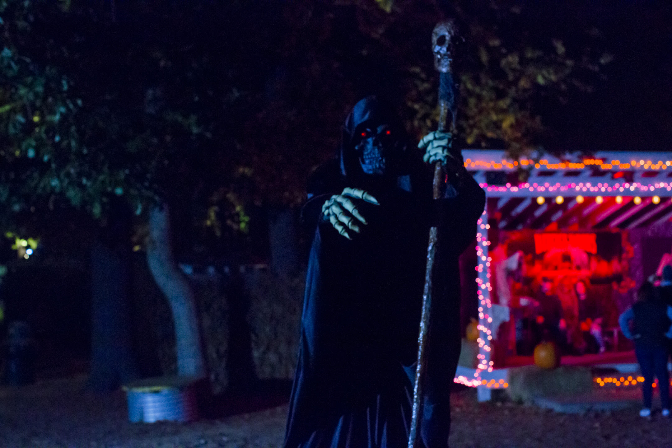 Castle Morbid Haunted Attraction | Witch's Woods