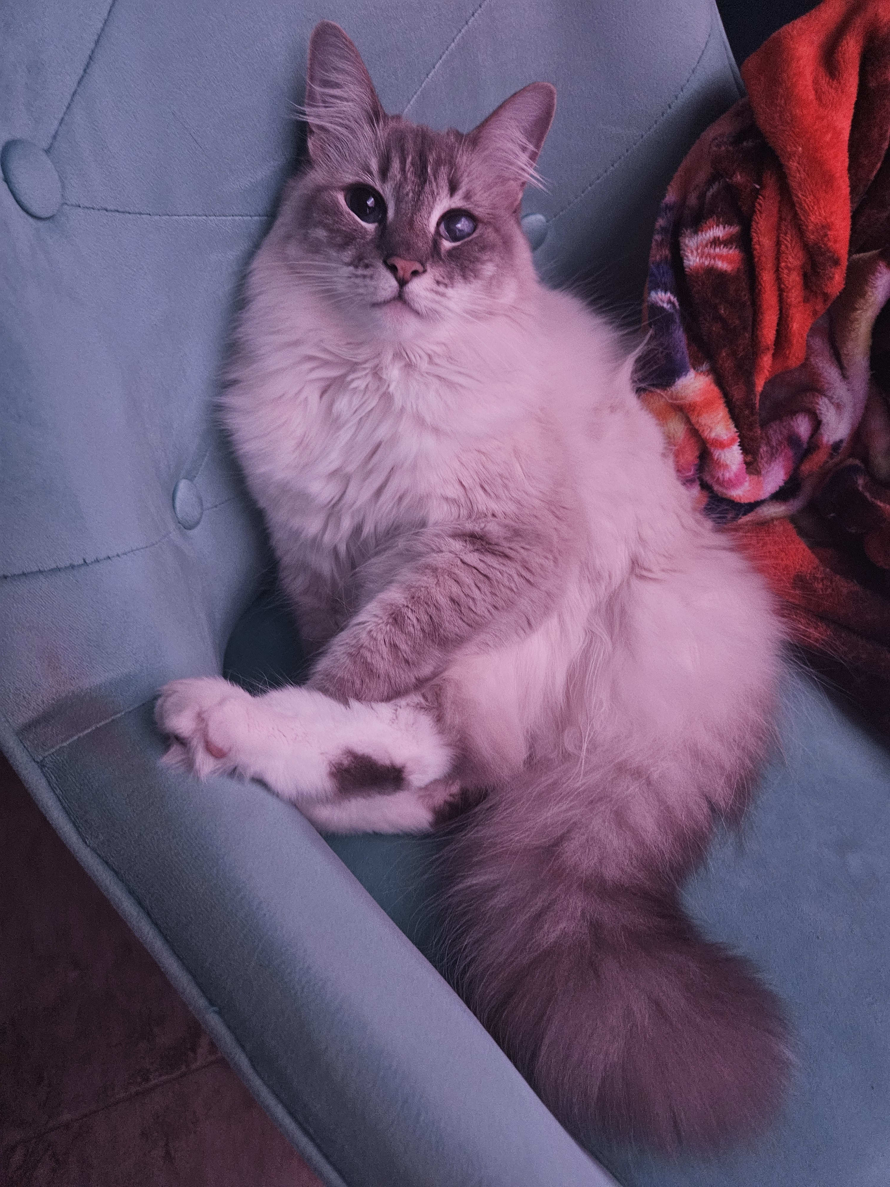 Amber Moore (@ambermoore) on Morty