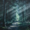 Serce Roztocza