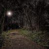 Vandenberg's Haunted Asylum: Trail of Terror