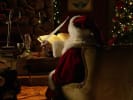 The Naughty List