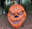 Haunted Hedge Maze