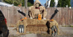 Yard of Terror