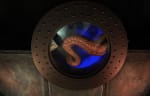 Les Secrets Du Nautilus [Secrets Of The Nautilus]