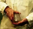 The Scientist