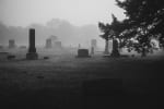New Life Cemetery [2023]