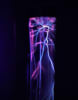 Hallucinations Chimiques Chez Le Dr. Grant [Chemical Hallucinations At Dr. Grant]