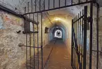 Liberate Fort Kijkduin [Free the Director of Fort Kijkduin]