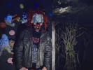 Haunted Corn Maze