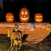 J Street Singing Pumpkins