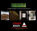 Escape Room
