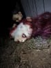 R.I.P. Tombs Haunted Museum