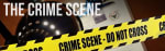 The Crime Scene