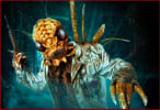 Infestation