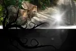 Varjoihin Vajonnut [Lost In The Shadows]