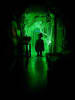 Leprechaun's Curse