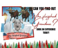 Who Sleighed Grandma?