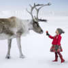Saving Christmas