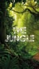 The Jungle