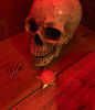 Saloon Escape: Die Flucht