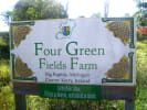 Four Green Fields Farm