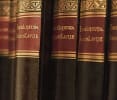 L'etude Secrete De Mr Fox [Library]