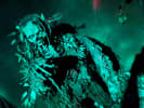 Haunted House
