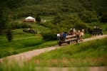 Horse-Drawn Wagon Rides