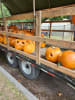 Haunted Hayride