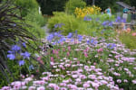 Escape The Garden [Outdoor]