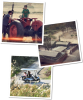 אסקייפ פארק המעיינות [Outdoor]