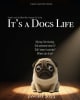 It's a Dog's Life