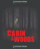 Cabin In The Woods