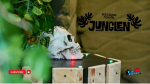 Junglen [The Jungle]