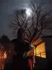 Disturbed Souls