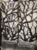 Fariston's Haunted Forest