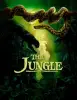 The Jungle