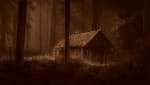 Cabin In The Woods